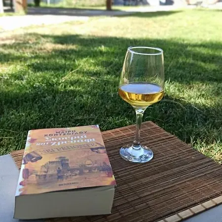 Sasa's Family Potidea Сasa de vacaciones