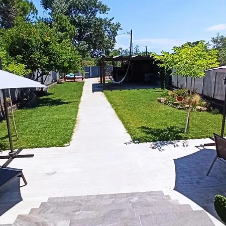 Sasa's Family Potidea Сasa de vacaciones *